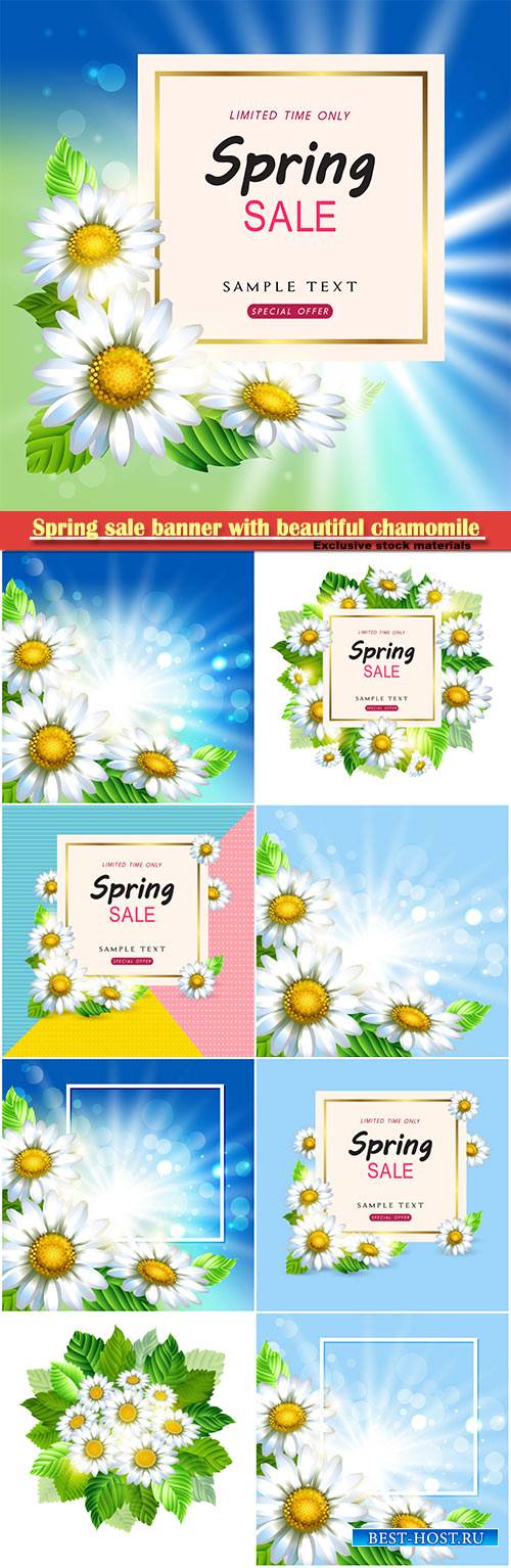 Spring sale banner with beautiful chamomile vector illustration