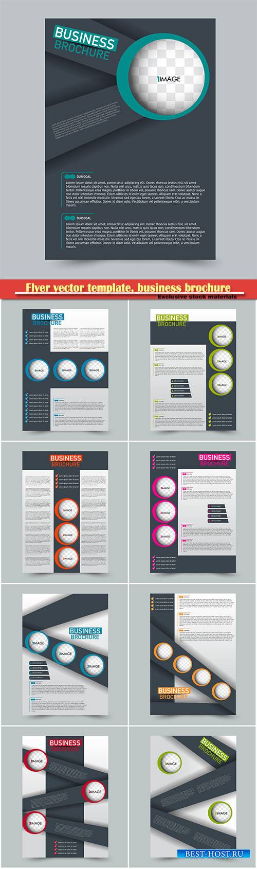 Flyer vector template, business brochure, magazine cover # 13