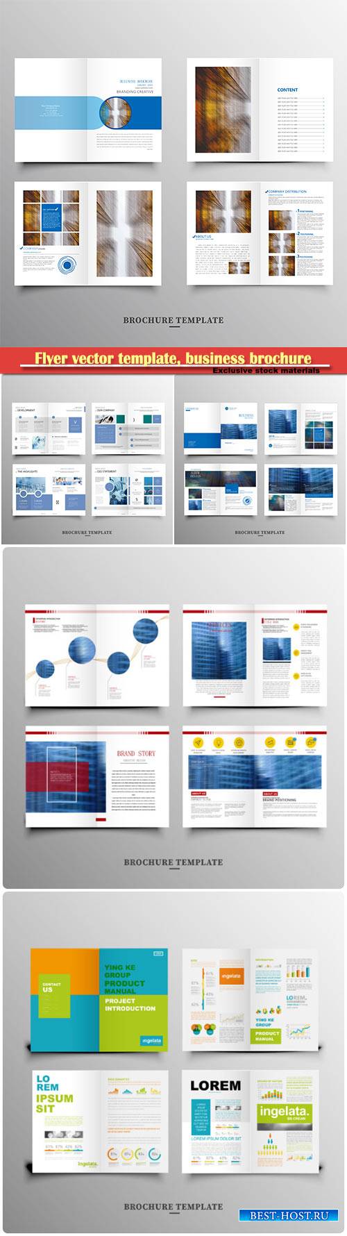 Flyer vector template, business brochure, magazine cover # 23