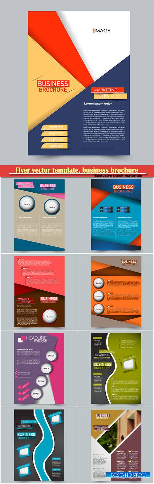 Flyer vector template, business brochure, magazine cover # 36