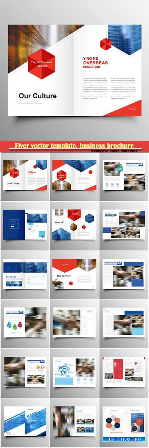 Flyer vector template, business brochure, magazine cover # 43