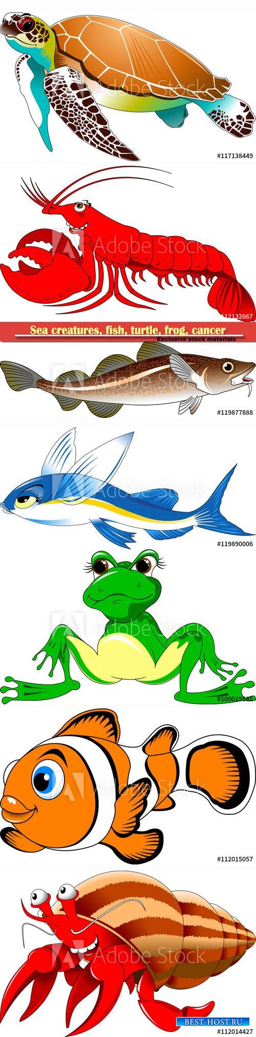 Sea creatures, fish, turtle, frog, cancer