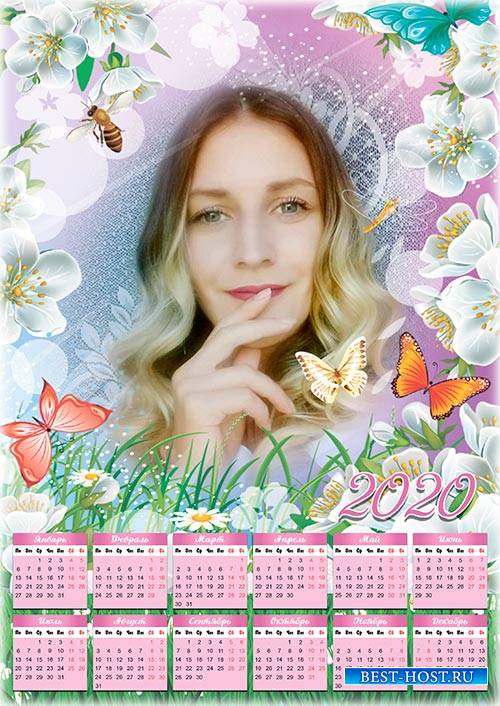 Календарь-рамка на 2019, 2020 год - Летняя  цветочная полянка
