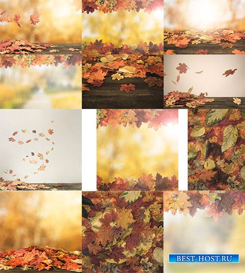 Осенние фоны с жёлтыми листьями / Autumn backgrounds with yellow leaves