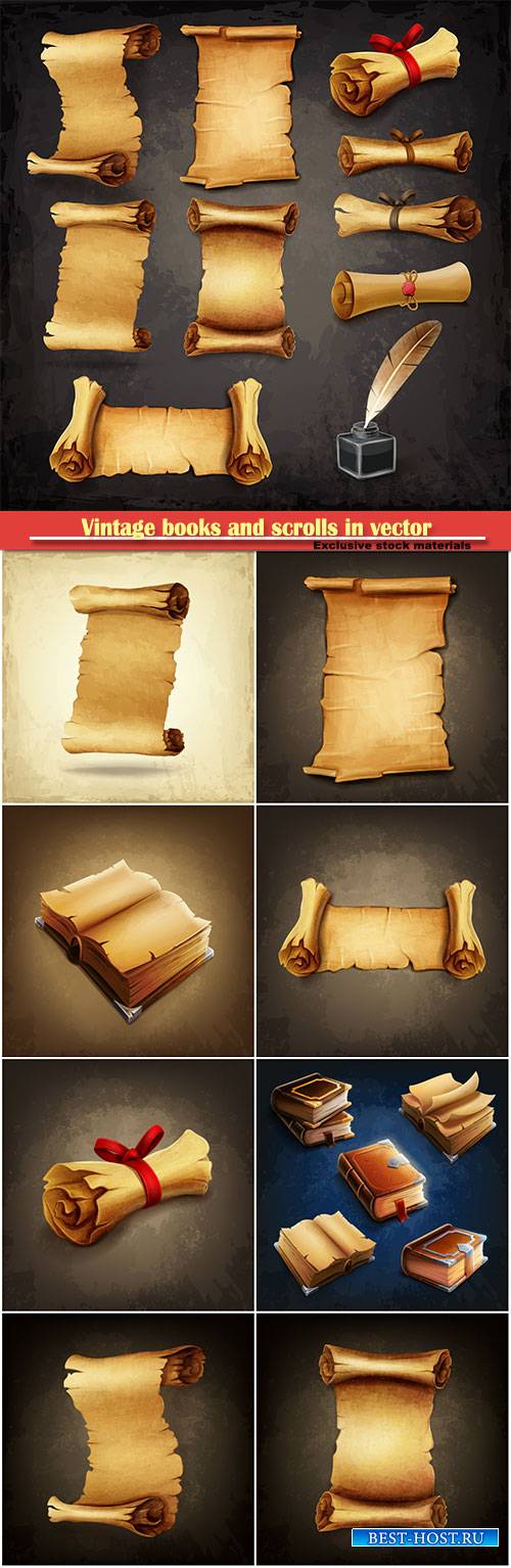 Vintage books and scrolls in vector