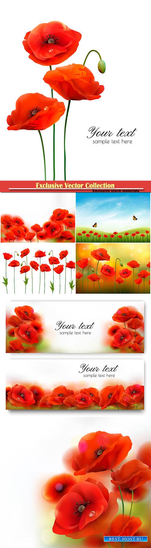 Red poppy flower background vector illustration