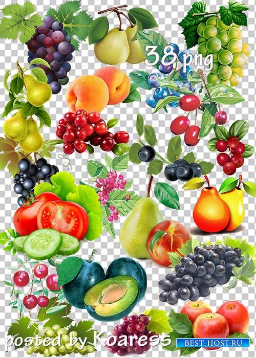 Клипарт в png - Овощи, фрукты, ягоды