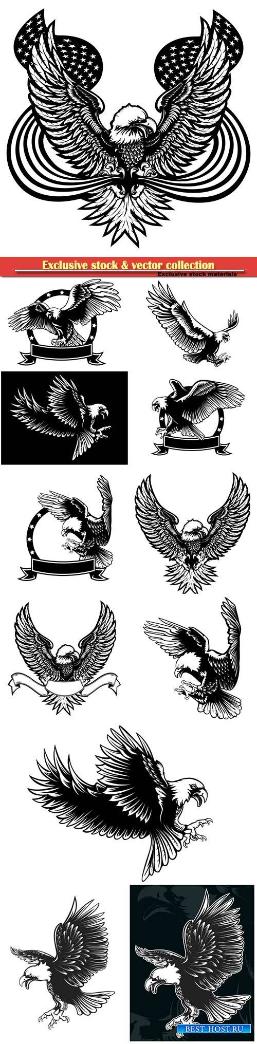 Eagle emblem vector illustration, world symbol of freedom and independence