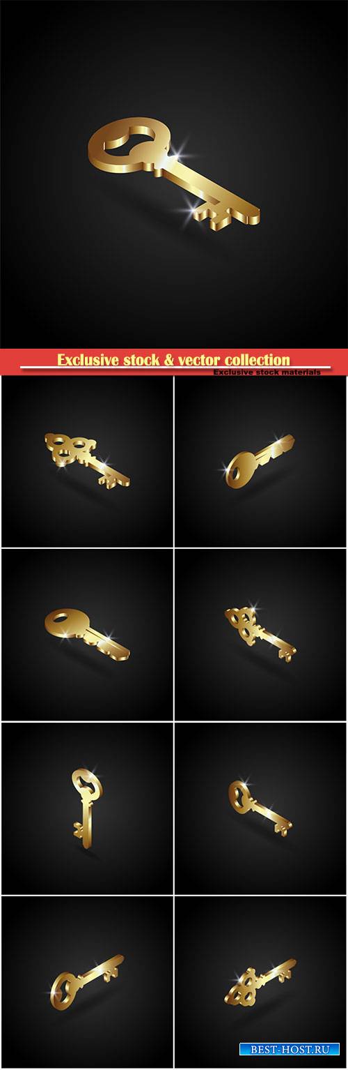 Luxury golden key vector illustration