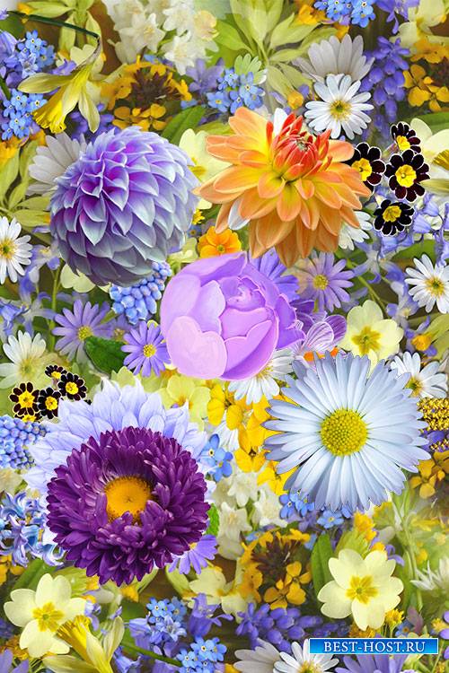 Realistic colorful flowers psd template