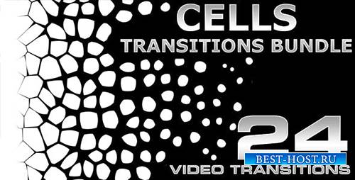 Videohive - Cells Transitions Bundle 4K - 19852549