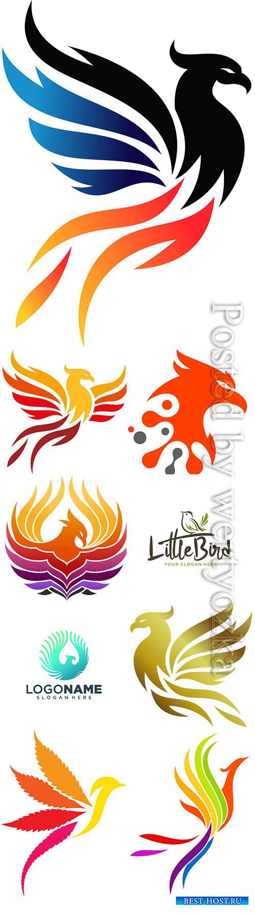 Phoenix logo collection vector illustration