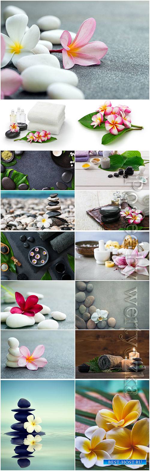 Spa backgrounds, compositions beautiful stock photo
