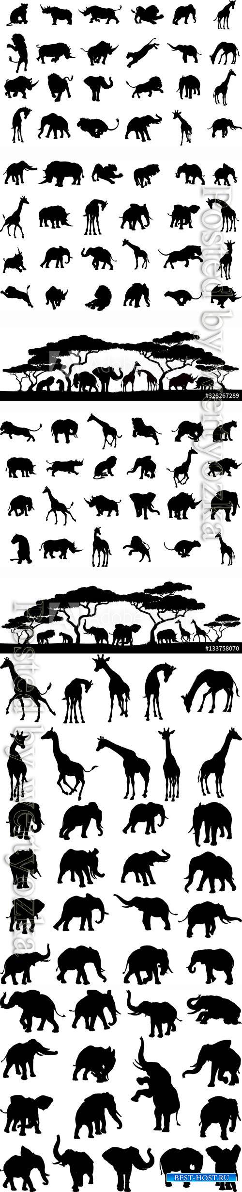 Silhouettes of animals in vector, elephant, giraffe, lion, rhino, leopard
