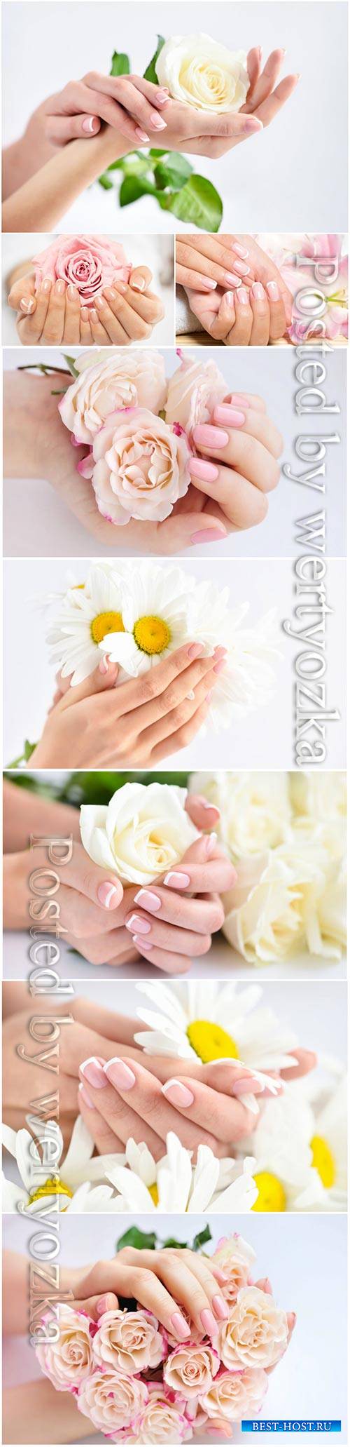 Beautiful manicure. female hands with flowers stock photo