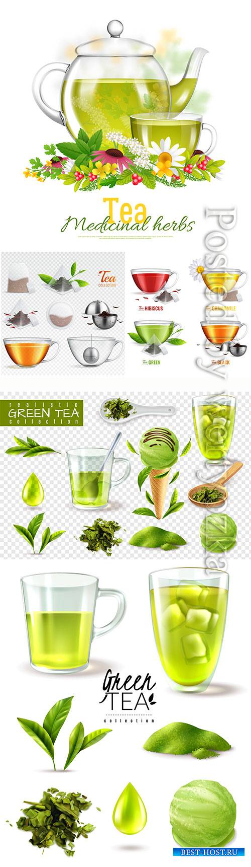 Fragrant tea in cups vector illustration