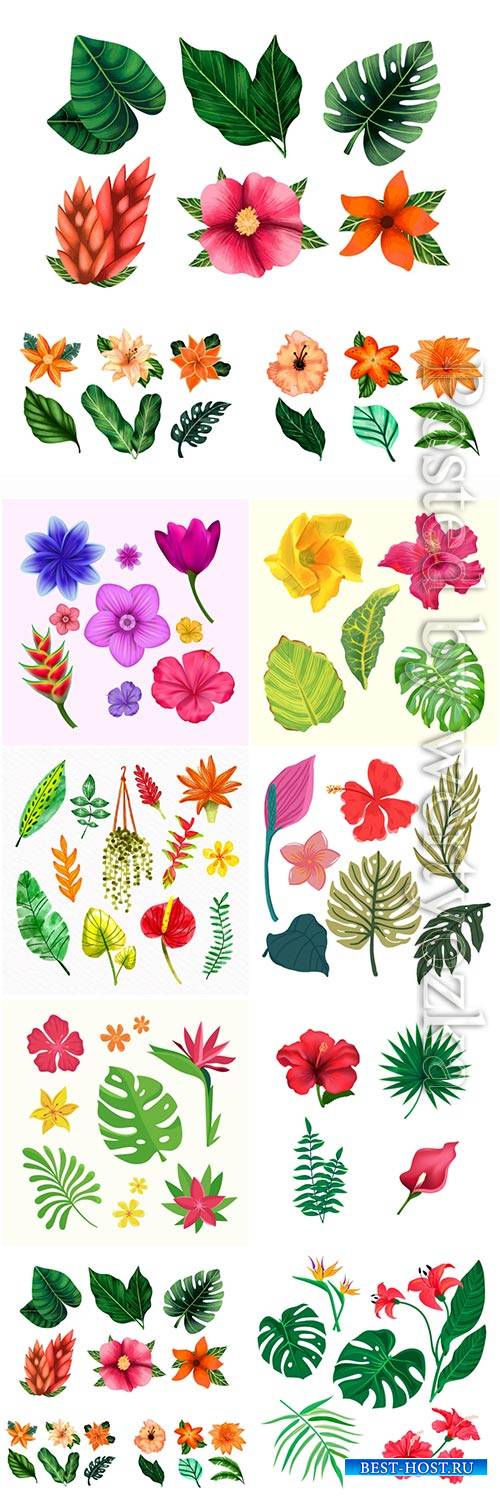 Tropical flowers and leaves, vector illustration