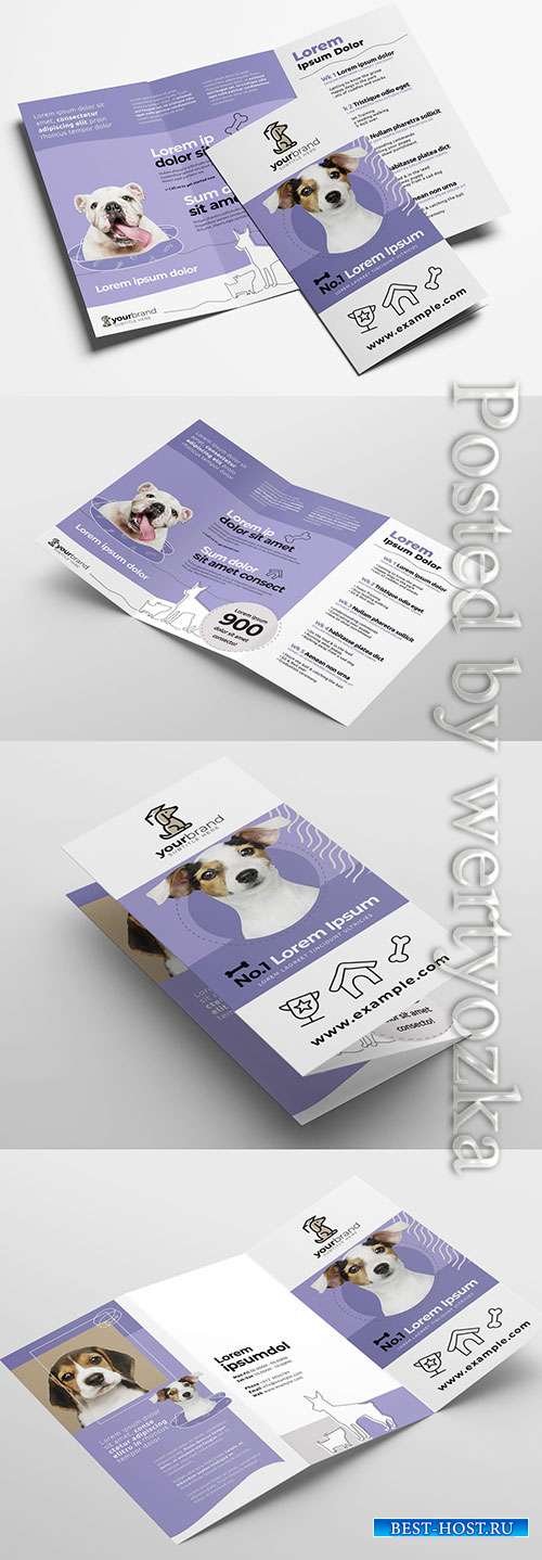 Trifold Brochure Layout for Pet and Vet Services