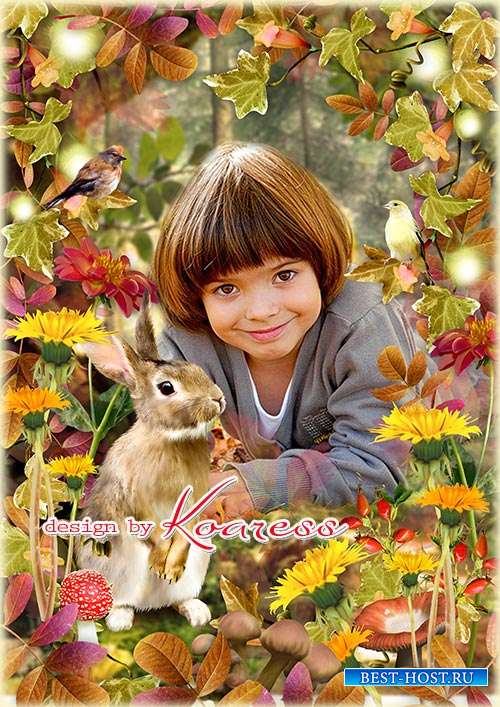 Осенний коллаж для детских фото - Загадочный осенний лес