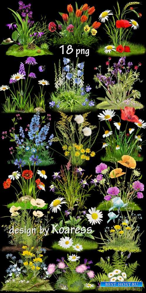 Png клипарт для дизайна Цветочные поляны -  Set of Png clipart Floral glade ...