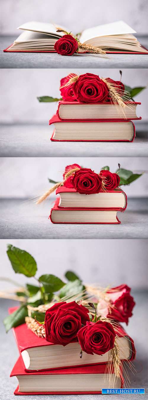Фоны с книгой и красной розой - Растровый клипарт