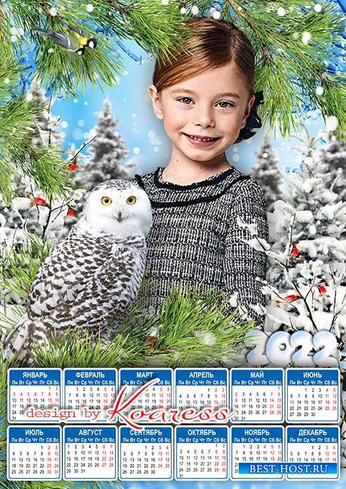 Календарь на 2022 год с совой для фото с детской фотосессии - В зимнем лесу