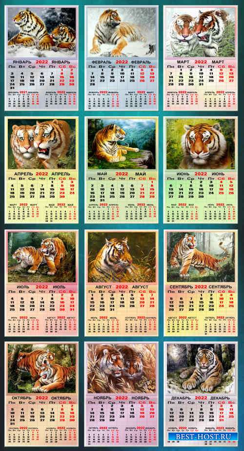Перекидной календарь на 2022 год - Такие разные тигры