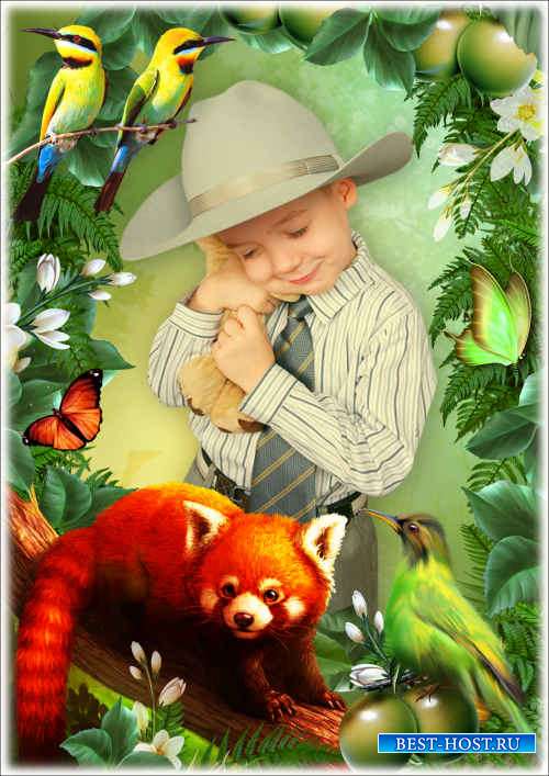 Детская рамка для фото с экзотическими животными - Конкуренты