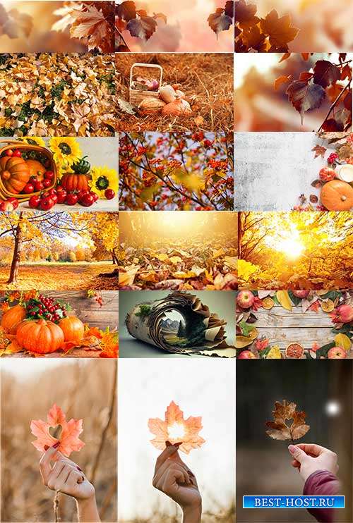 Осенняя пора - очей очарованье - Растровые фоны